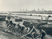 ORA (Omladinska Radna Akcija), Sava, Savski nasip, oko 1965. godine